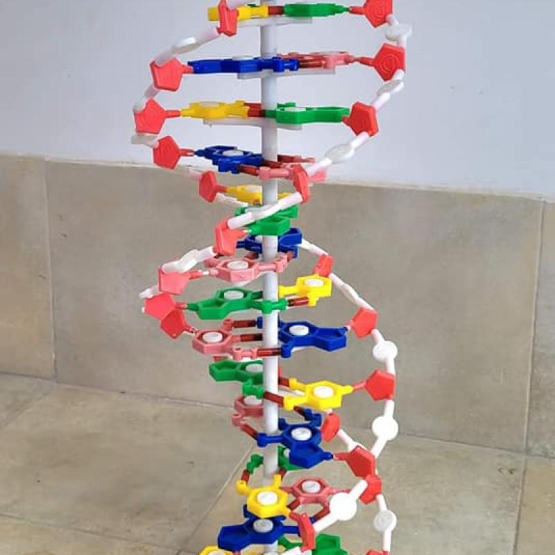 367458112 673839968120389 4817820343544238935 N Copy