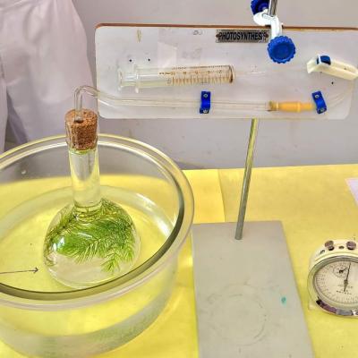 368002360 673842938120092 544472611533852038 N Copy 2