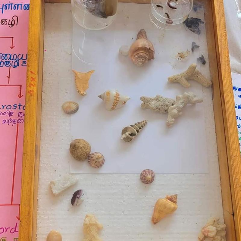 368175206 673839878120398 7274641138880196796 N Copy